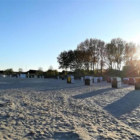 Sanddorn Haus Sanddorn - Whg 13 Großenbrode المظهر الخارجي الصورة