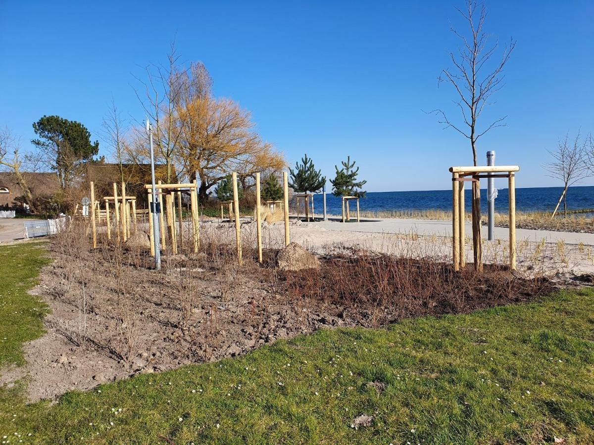 Sanddorn Haus Sanddorn - Whg 13 Großenbrode المظهر الخارجي الصورة