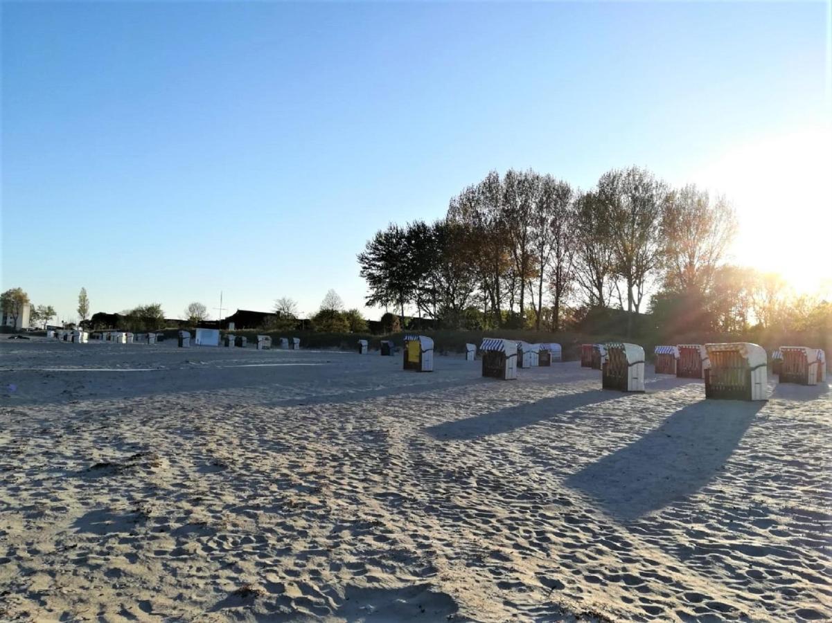 Sanddorn Haus Sanddorn - Whg 13 Großenbrode المظهر الخارجي الصورة